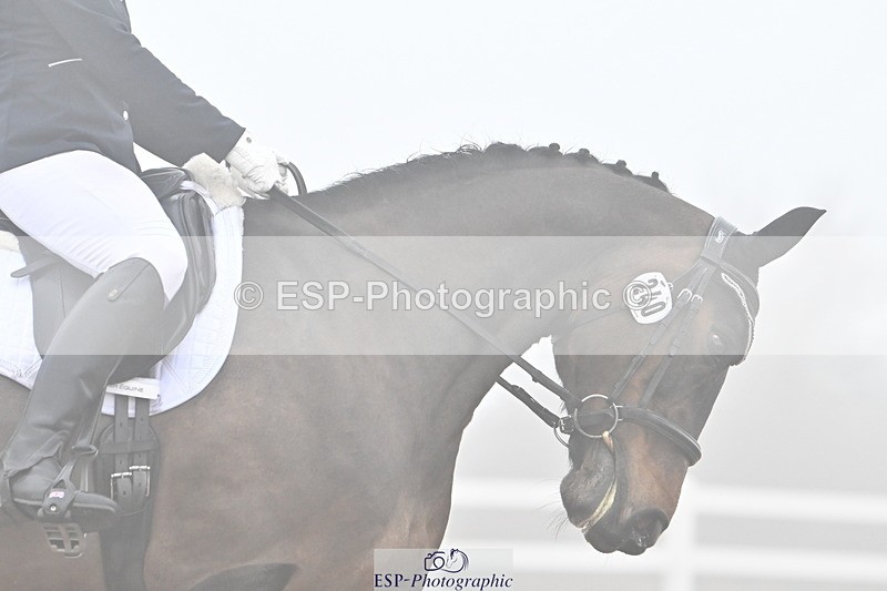 240217A-135418-03314 - 240-Moira.Bonner-Green.lanes.Elidor