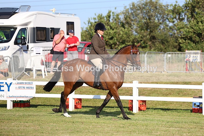 3E7A4941 - Class 1: Rising Star Small Hack/Riding Horses