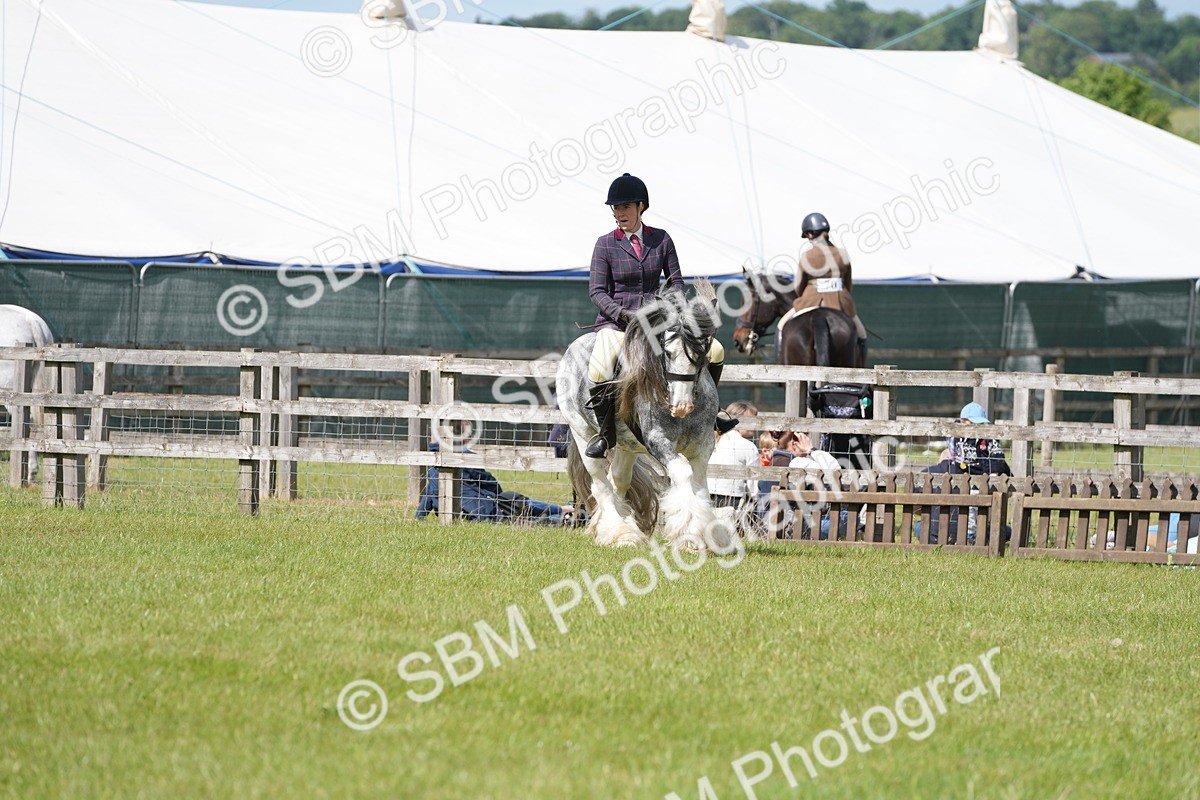 SBM_17302 - Class 107-108 - LIHS BSPS Performance Coloured Horse Pony