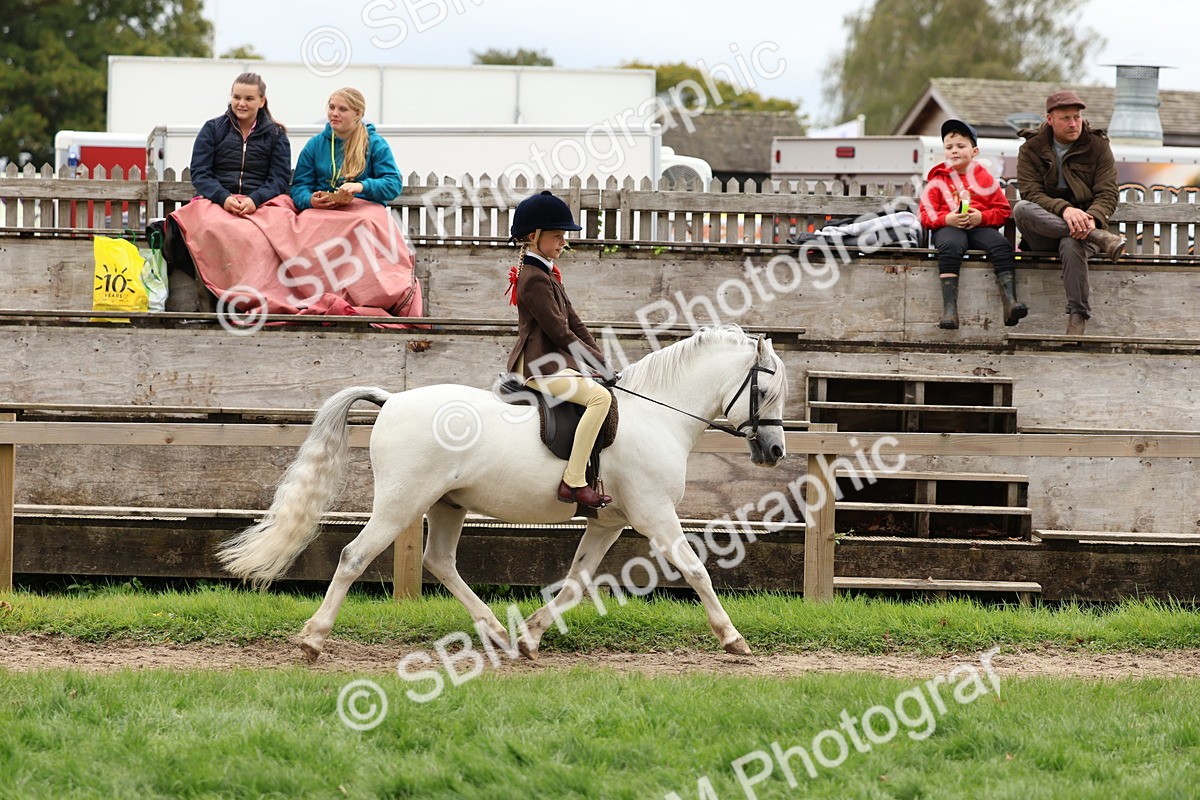 SBM_67374 - S61 - Mountain & Moorland Ridden