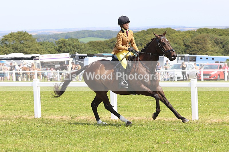 JPP_3376 - Class 22: Working Hunter 70cm
