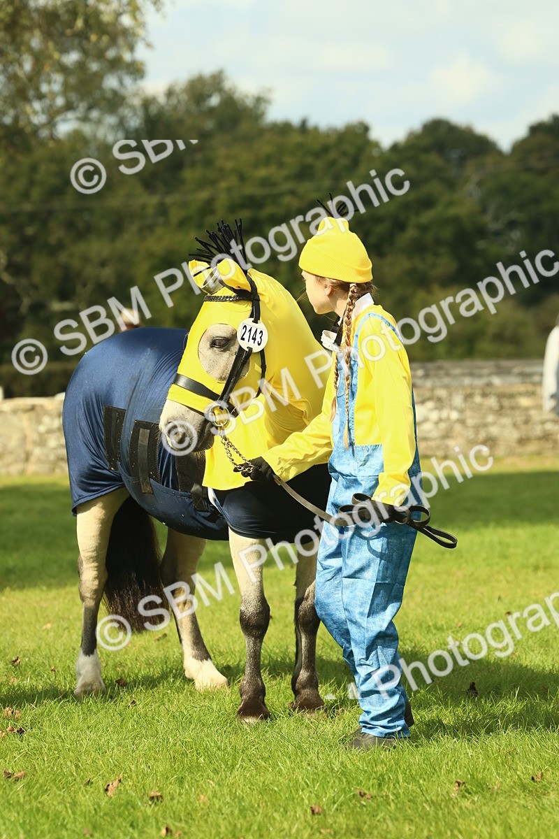 SBM_63626 - S35 - Fancy Dress Showing
