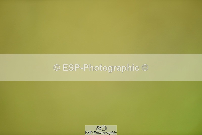 240523B-100548-01694 - 4 Year Old