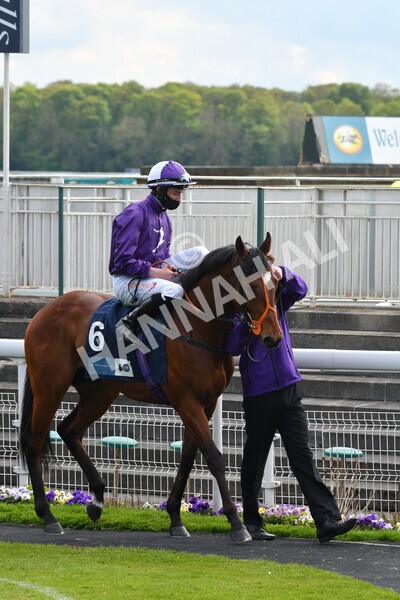 yr12052021r6-4 - Race 6 4.15pm British Stallion Studs EBF Novice Stakes