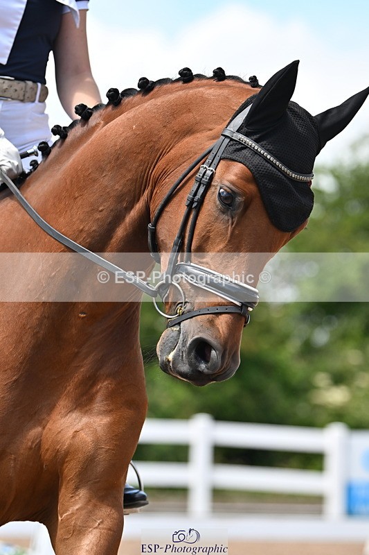 240621A-124025-02199 - Cls 7 BD Elementary 45