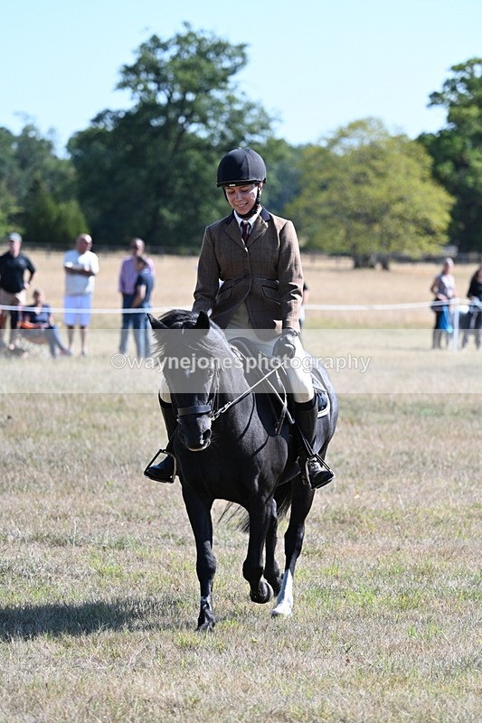 WJ7_3785 - Class 9 Mountain & Moorland Ridden