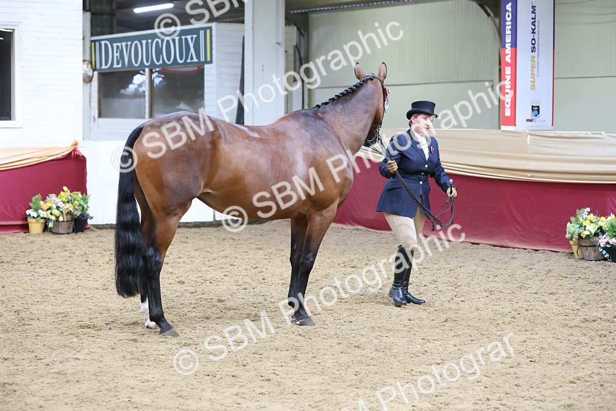 SBM_23636 - class 906 - Supreme Final - Ridden Pre Vet