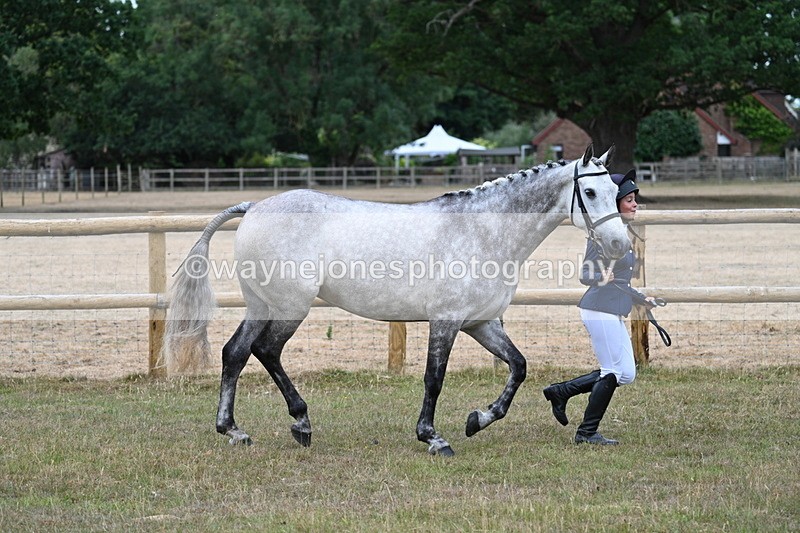 WJ7_8723 - Class 4a Prettiest Mare 14.2hh and over