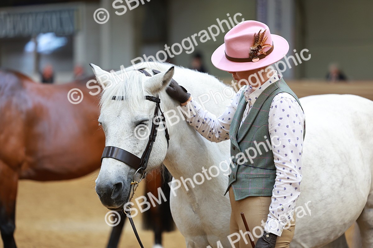 SBM_04152 - Class 9R - IH Pre-Vet