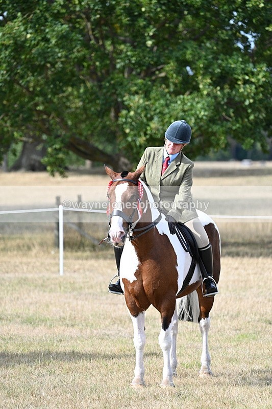 WJ7_7860 - Ridden Championship