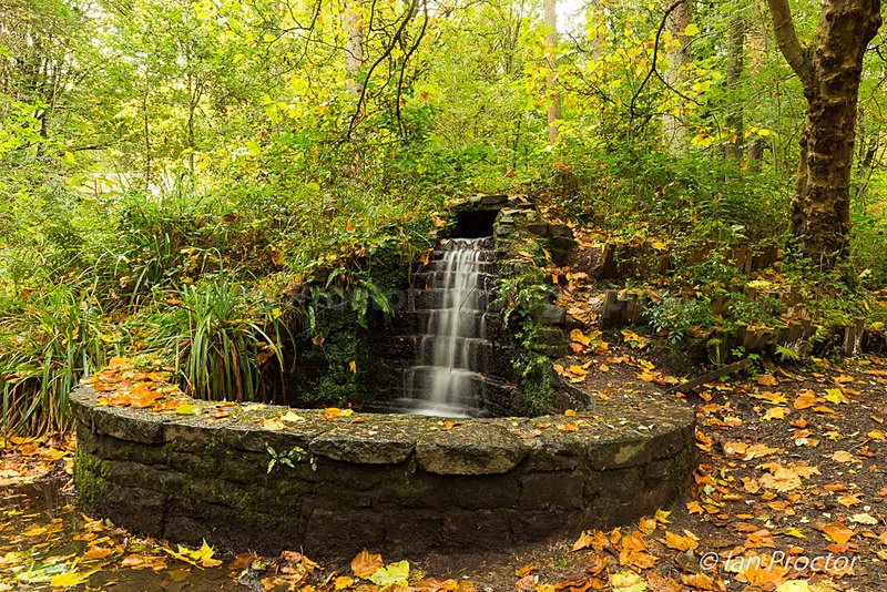 Autumnal Scene at Portglenone Forest - Autumn