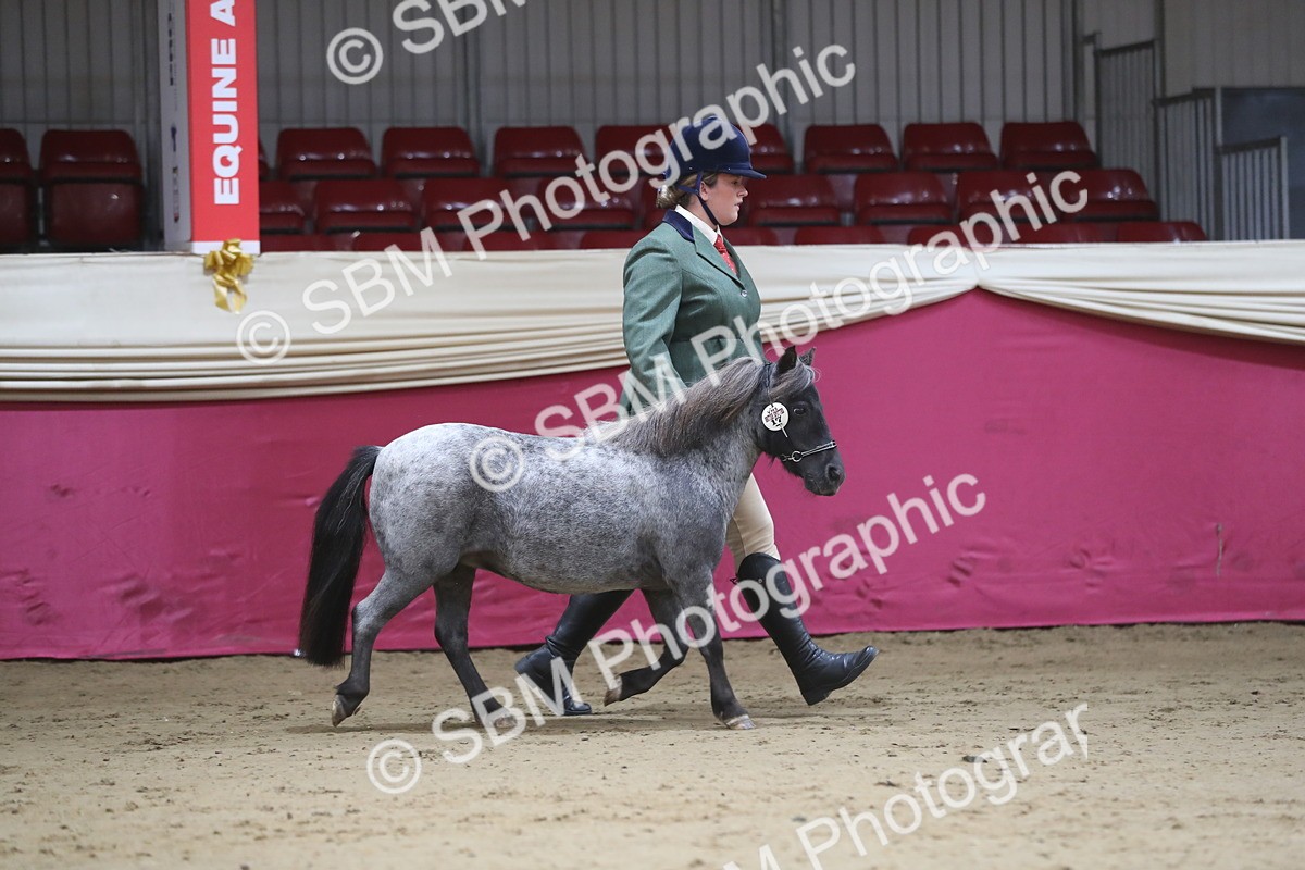 SBM_01300 - Class 3a Area IH Pre Vet