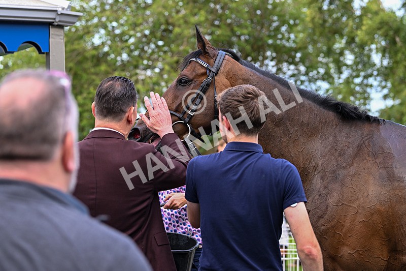 170625-Race 4-Nibras Gold-6867 - Race 4