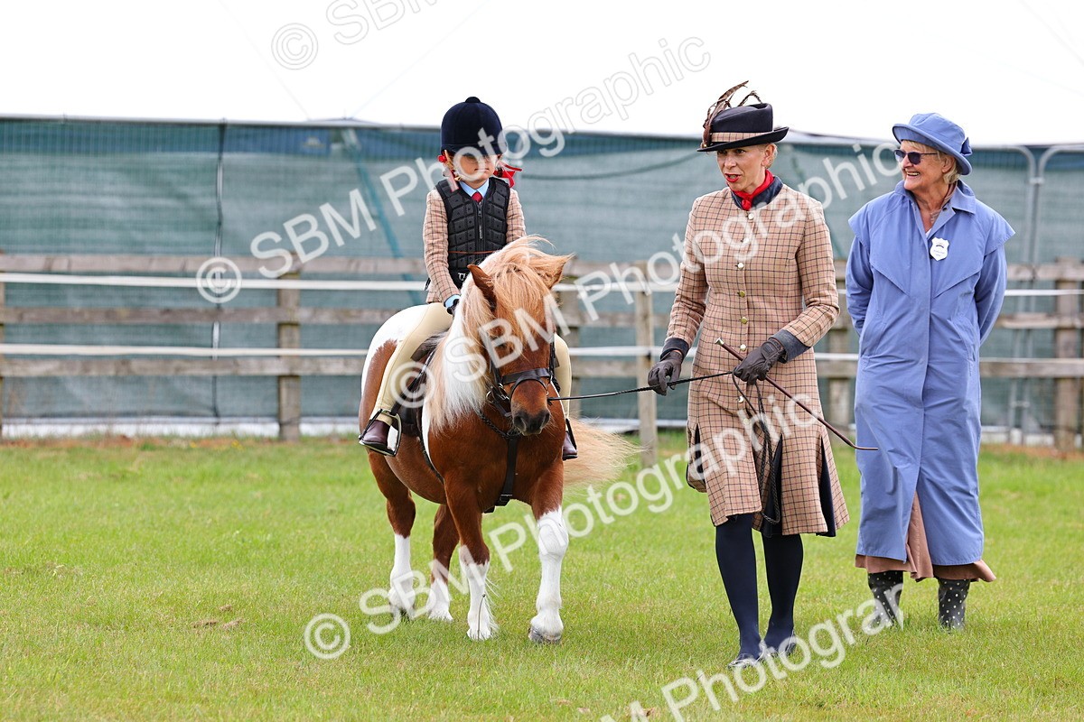 SBM_08222 - Class 42-43 - LIHS BSPS Heritage Working Sports Pony