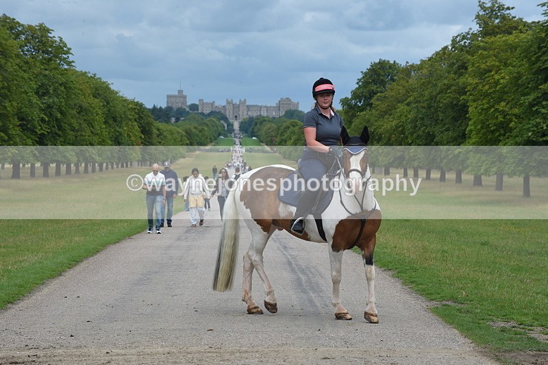 TT3_9766 - Time at Crossing 11:28 to 13:16