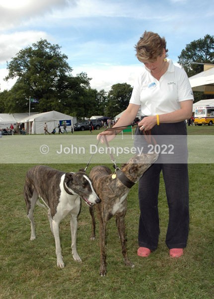 Glamis 14 web - Walking the Dog