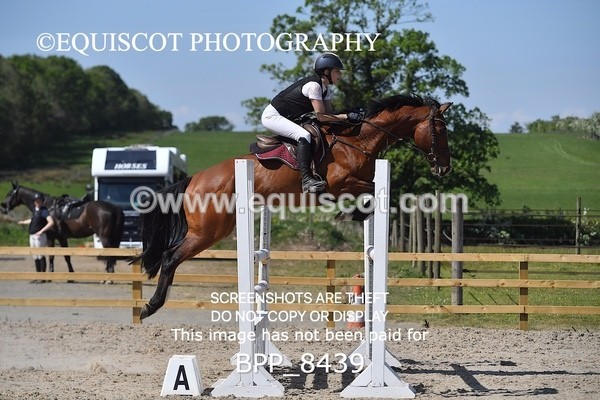 BPP_8439 - CLASS 7 Senior Foxhunter/ 1.20m Open