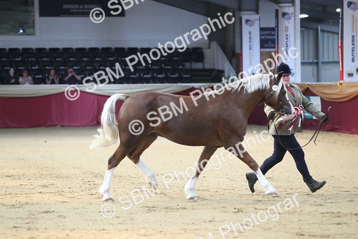 SBM_01401 - Class 3a Area IH Pre Vet