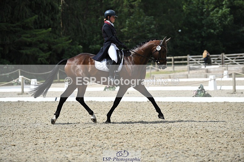 230525-113102-01845 - 101-INTERFIELDS_ABOUDDI-Saffron_Cresswell-WEDTrotUp+DR