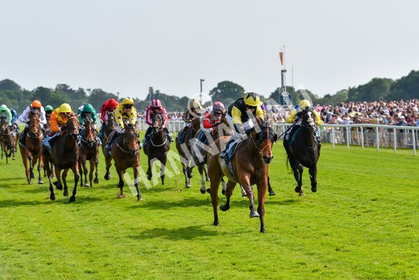 270523-Race 5-Starnberg-4495 - Race 5 3.50pm William Hill Extra Place Races Daily Handicap