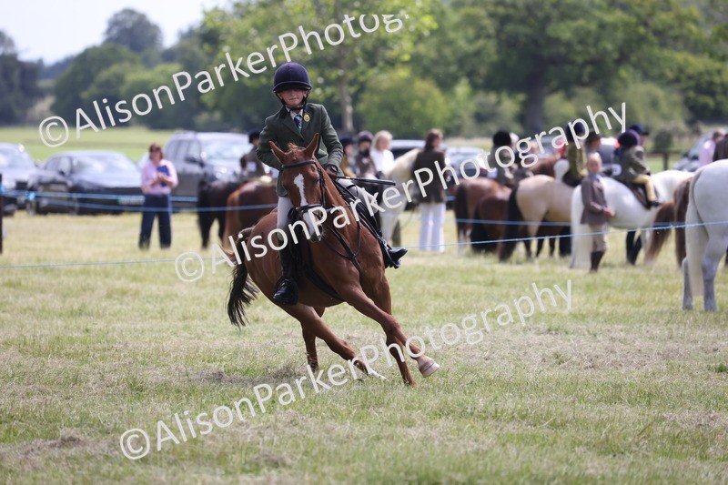 20260614-1863 - Class 21 - Novice Working Hunter Pony