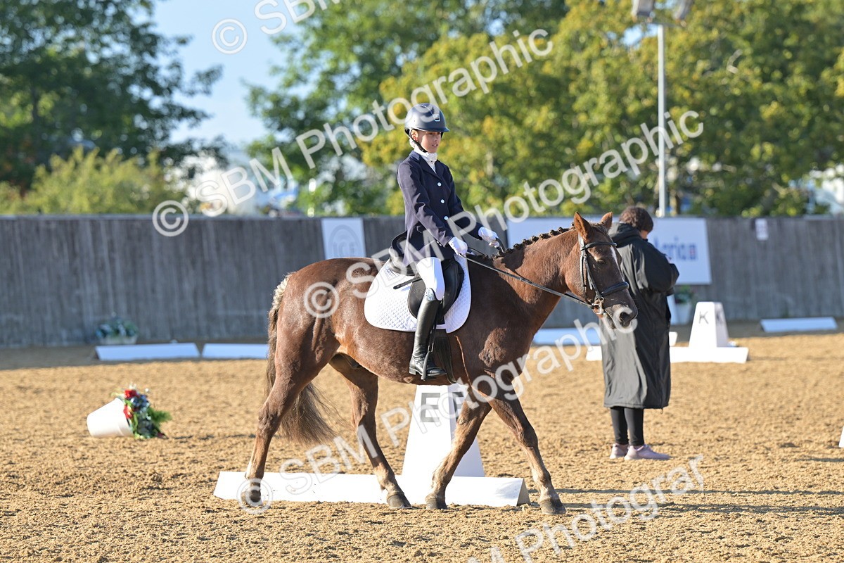 SBM_13096 - D3 - Small Tour Championship Intro 3