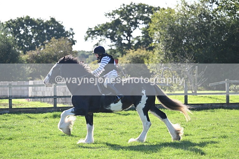 WJ7_7434 - Time 09:07 to 09:17