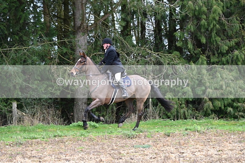 WJ6_9744 - Line Four