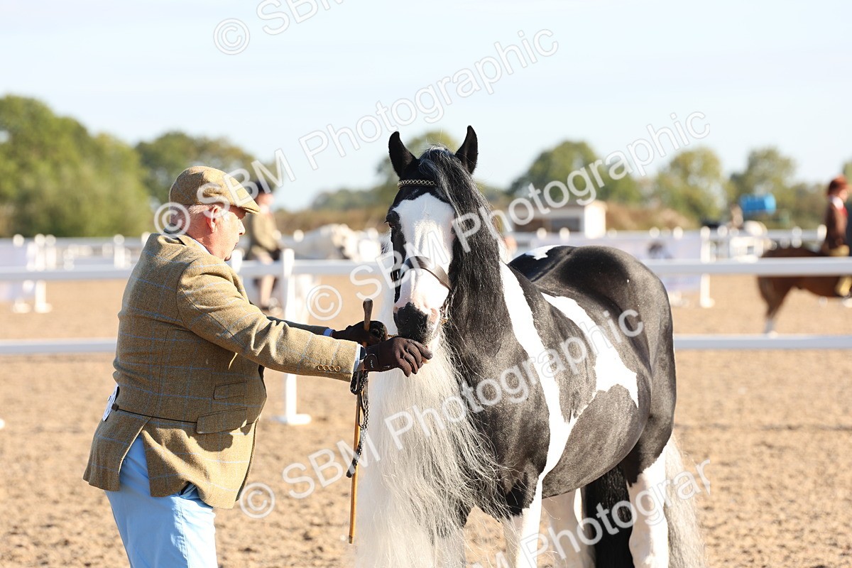 SBM_10784 - Class 201 - Best Turned Out - IH