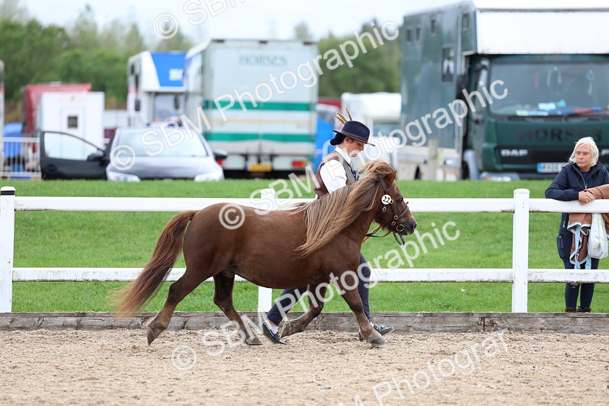 SBM_05870 - Class 29 - IH Veteran Pony