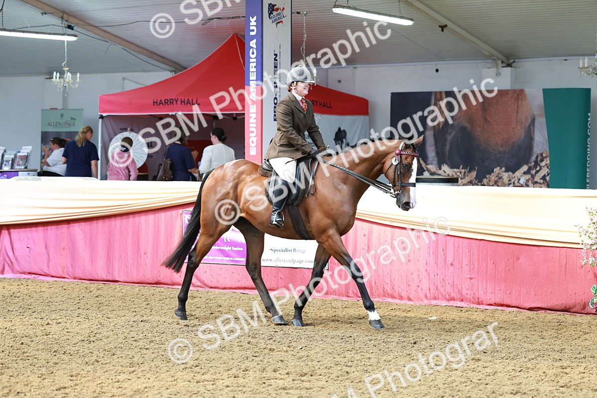 SBM_14881 - Class 108 - Ridden Retired Racehorse