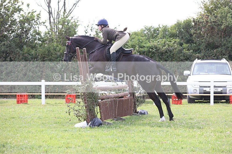 JPP_4220 - Class 25: Working Show Horse