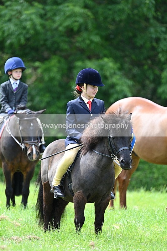WJ7_1579 - Class 11 Condition & Turnout