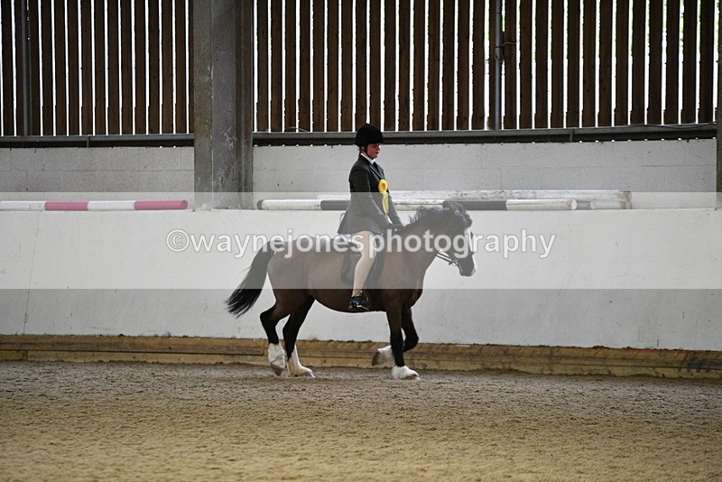 WJ5_7398 - Class 11 Ridden PC - RC Pony