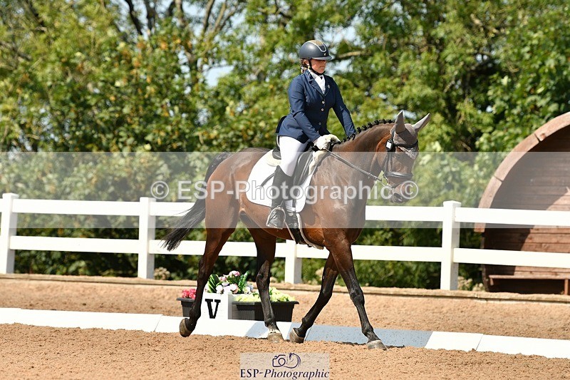 250817-133852-10011 - 033-Frankie.TorodeFirst.Impression.VI