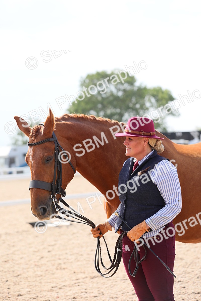SBM_15774 - Class 312 IH Competition Horse/Pony