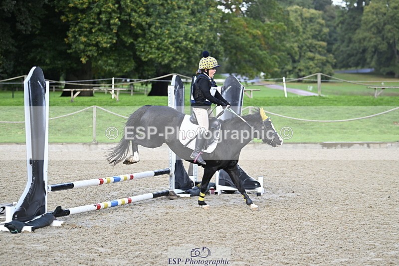 251005A-085808-02900 - Cls 02 GR 50cm