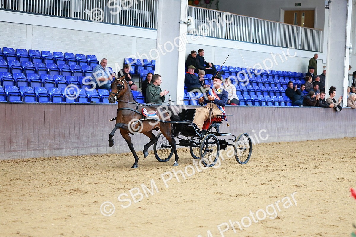 SBM_000684 - Class 9 - HHS Championship Intl Hackney Pony to a Showwagon