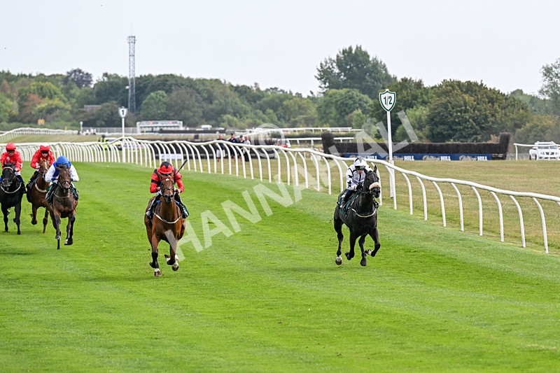 260826-Race 1-Mugheer-2110 - Race 1 14:15 Yorkshire Dales Distillery / EBF Restricted Maiden Stakes