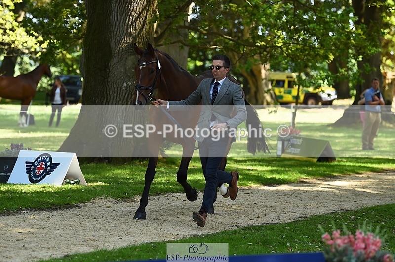 230524-153912-00414 - 371-JERPOINT_ECLIPSE-Max_Gordon-WEDTrotUp+DR