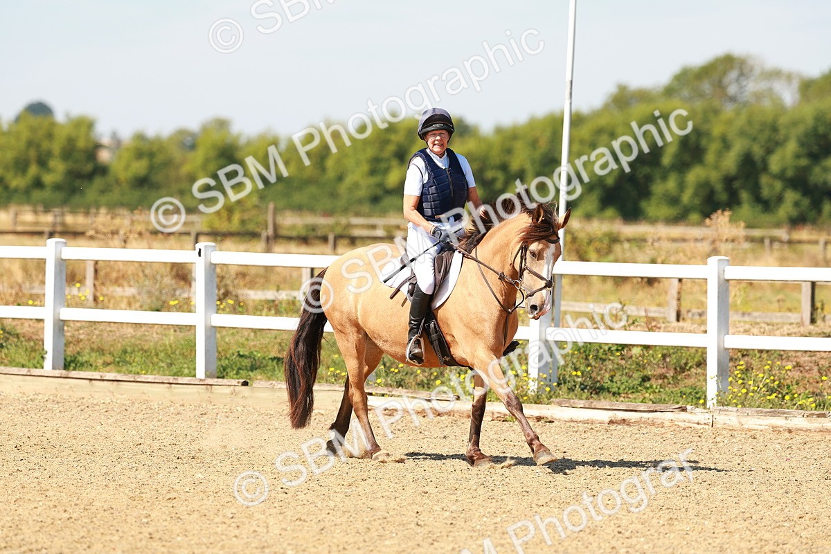 SBM_000756 - AE - 50cm