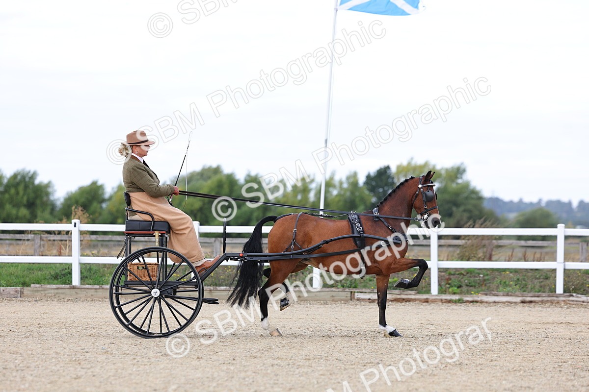 SBM_000258 - Class 2 - Exercise Vehicle 13.2hh & Under