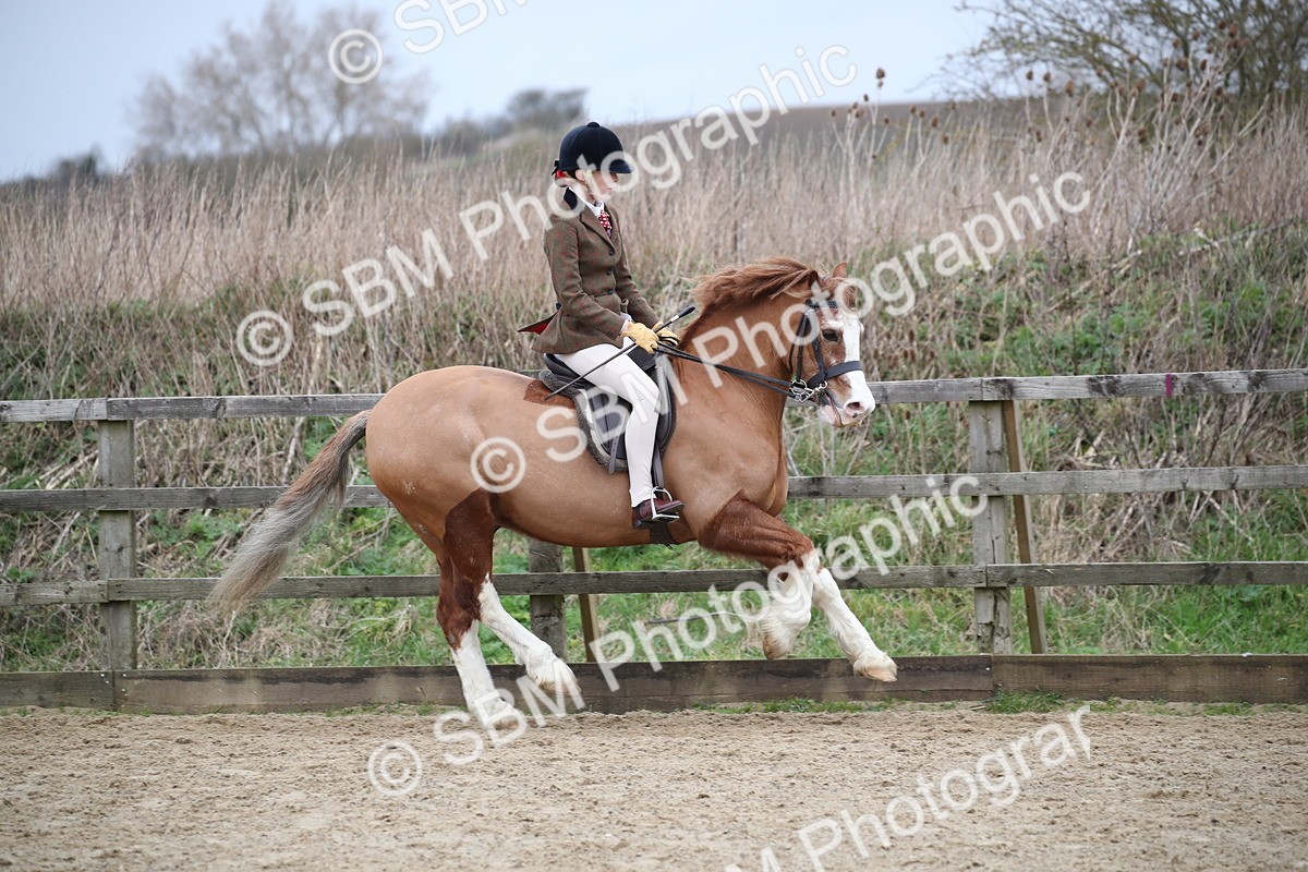 SBM_006114 - Class 10-13 - RIHS Small Large Breeds