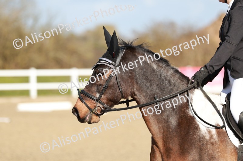 20260314-5283 - DR4 - Prelim 2