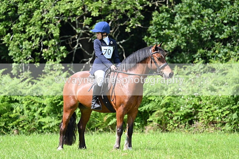 WJ7_1138 - Class 11 Condition & Turnout