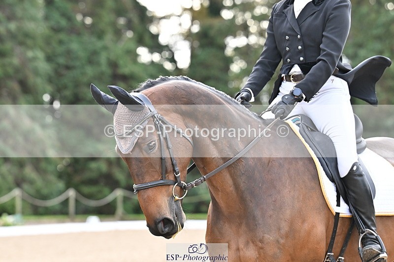 251023A-112003-01210 - C-228-Emma.Maria.Zucconi