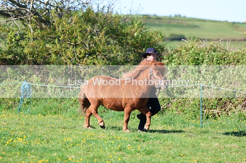 3E7A8373 - Class 12: M & M Small Breeds