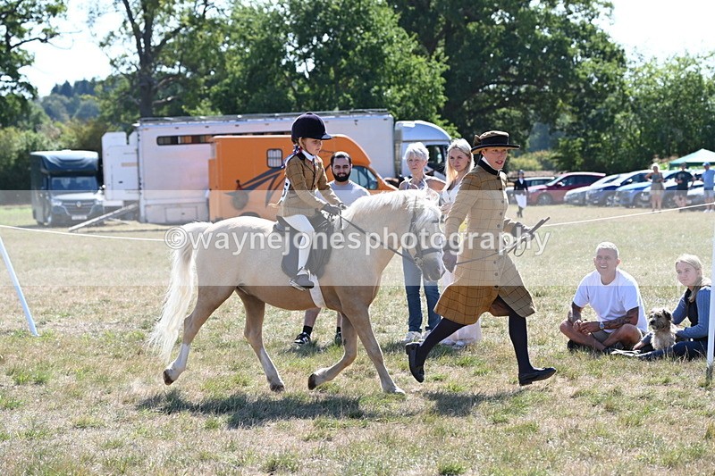 WJ6_7748 - Class 36 Lead Rein
