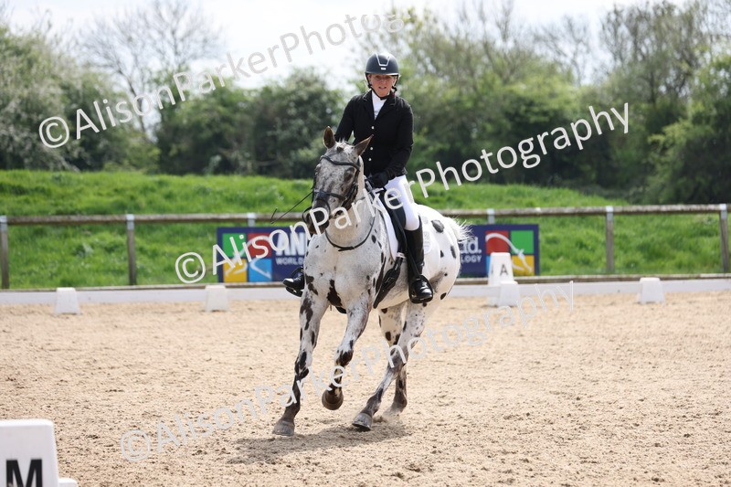 20250424-0753 - Class 5 - Novice 3