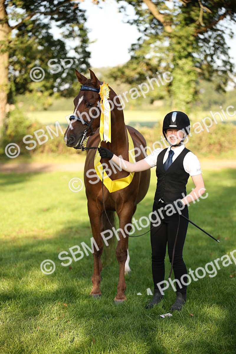 SBM_57587 - S50 - Foreign Breeds In Hand